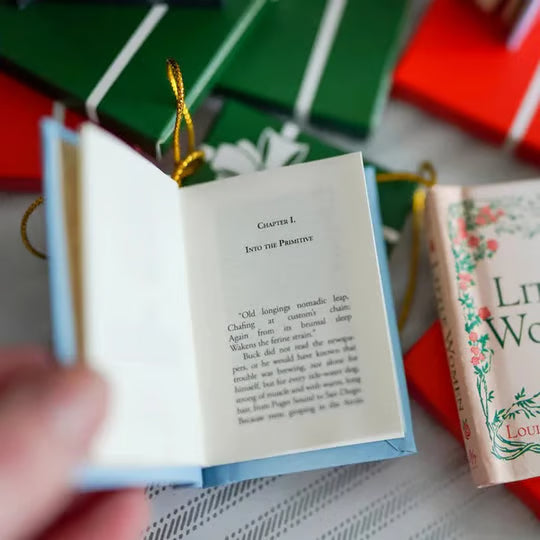 ✨Last Day 60% OFF 💥 Mini Book Ornament Advent